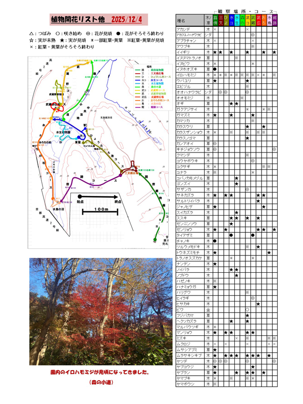 植物の開花リスト他