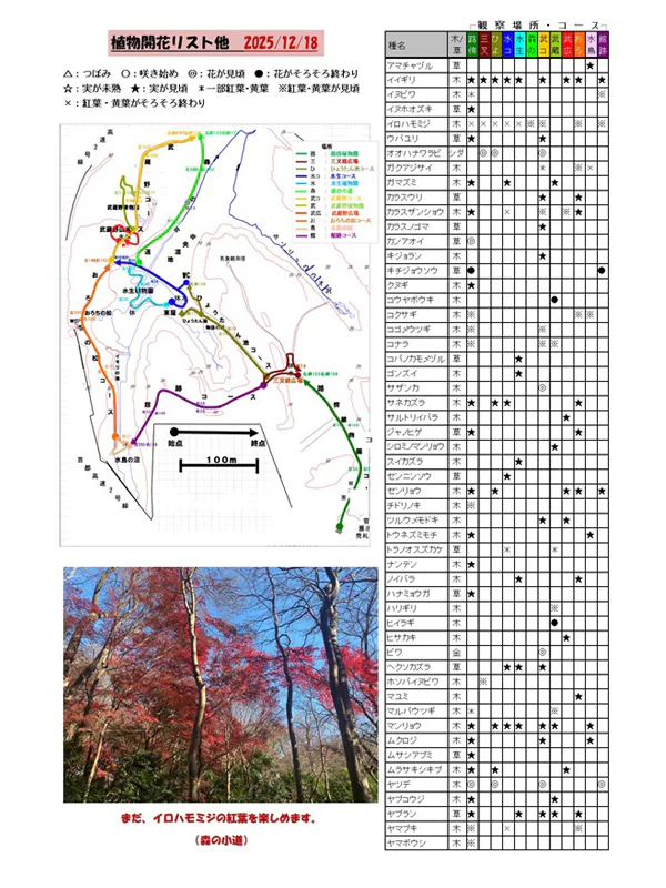植物の開花リスト他