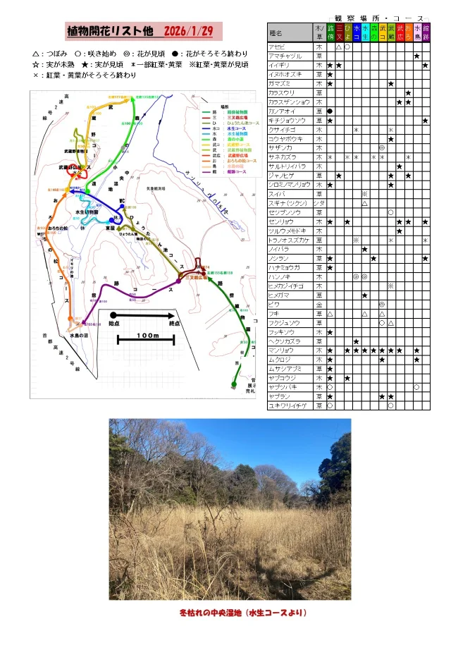 植物の開花リスト他