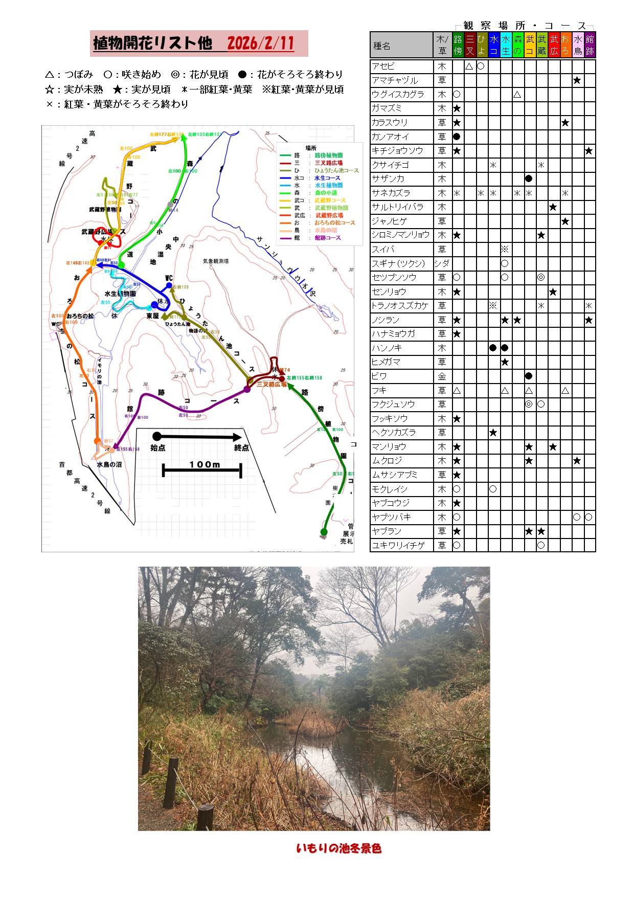 植物の開花リスト他