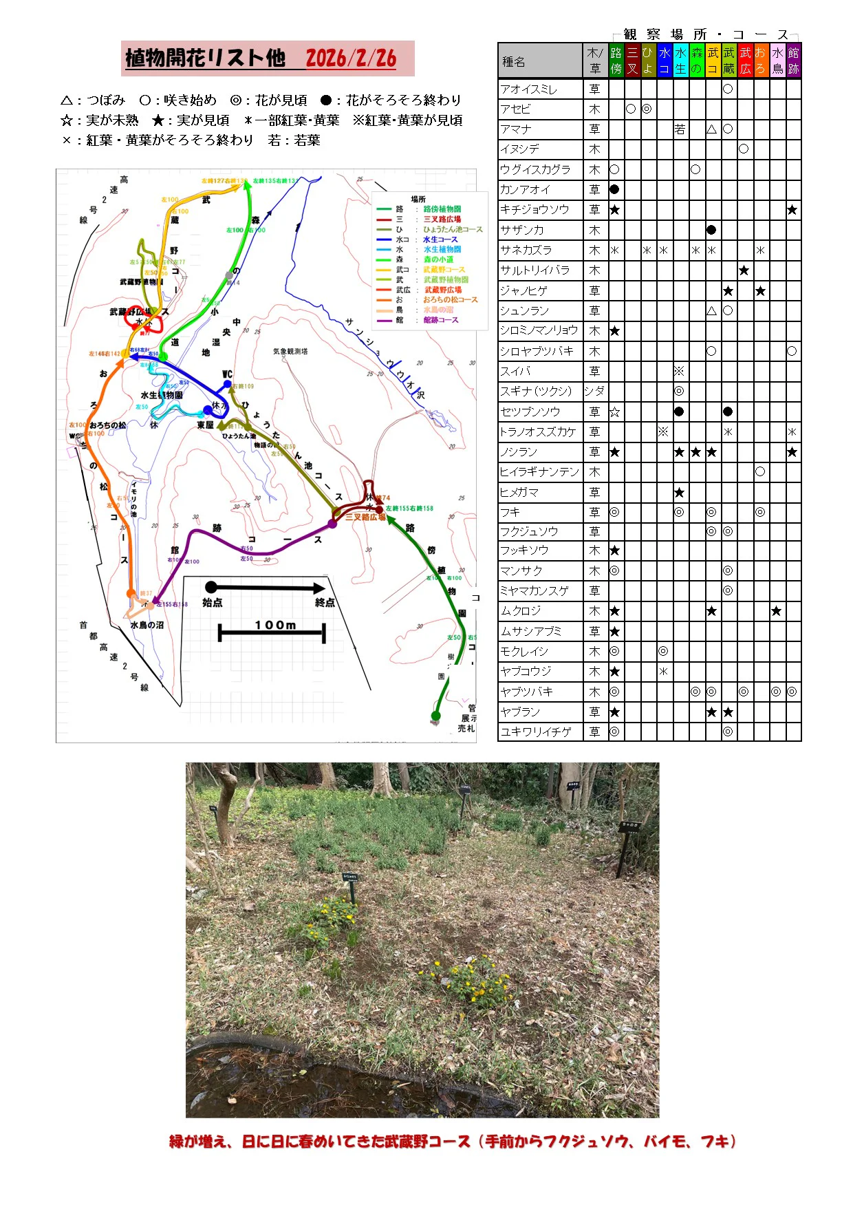 植物の開花リスト他