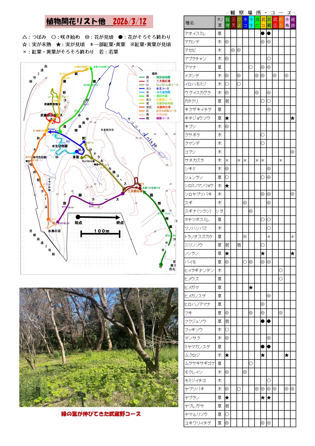 植物の開花リスト他