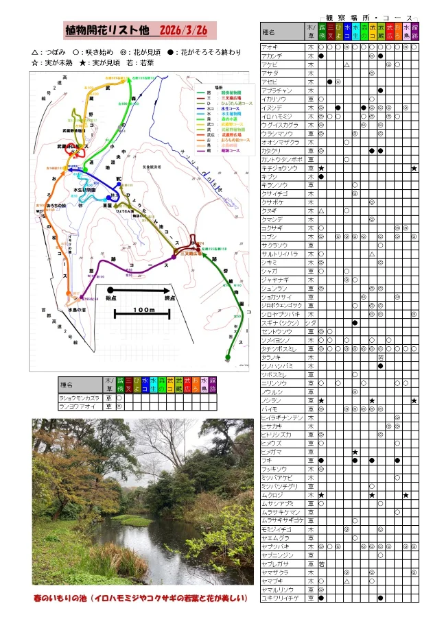 植物の開花リスト他