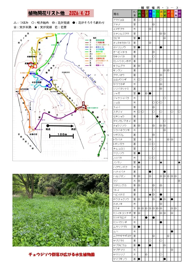 植物の開花リスト他