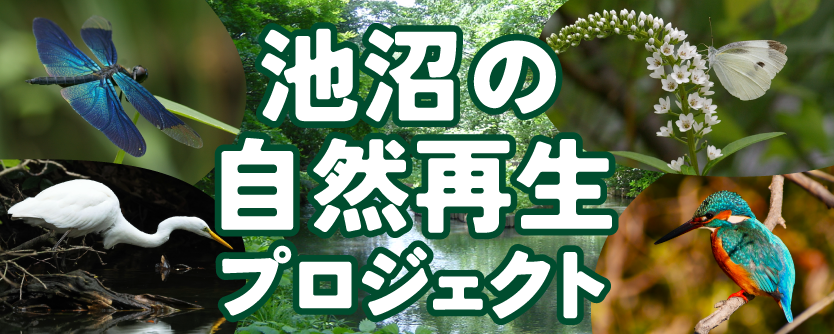 池沼の自然再生プロジェクトバナー