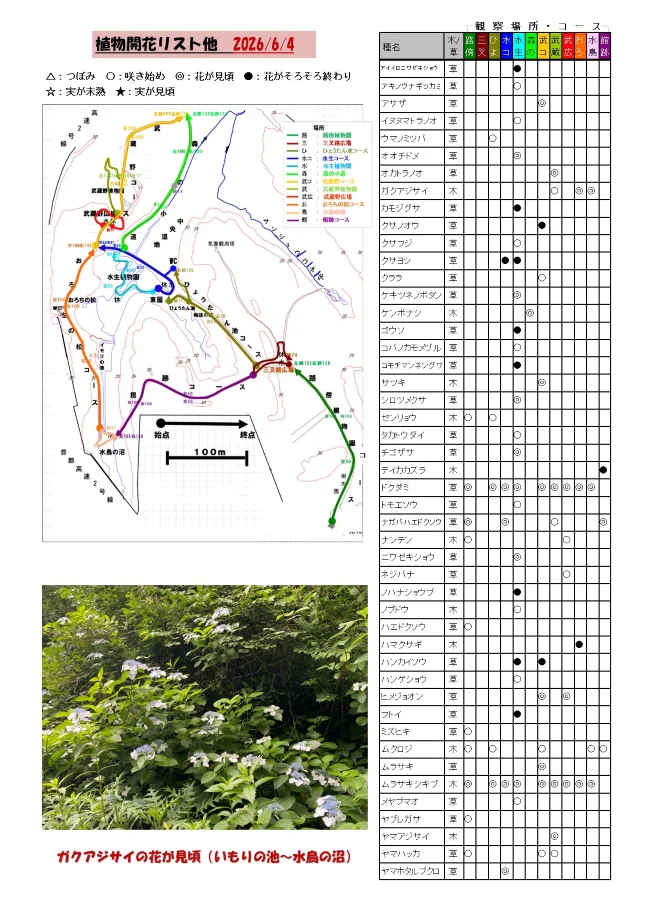 植物の開花リスト他