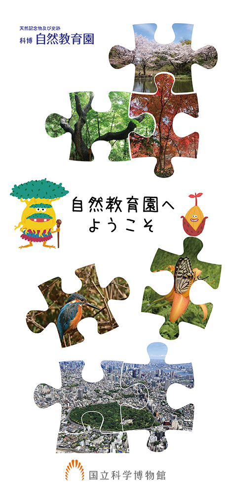 自然教育園リーフレット子供向けJP