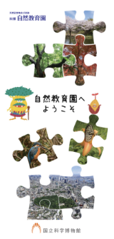 自然教育園リーフレットー子供向け