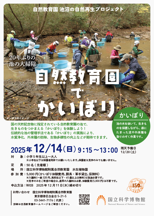 かいぼり告知ちらし