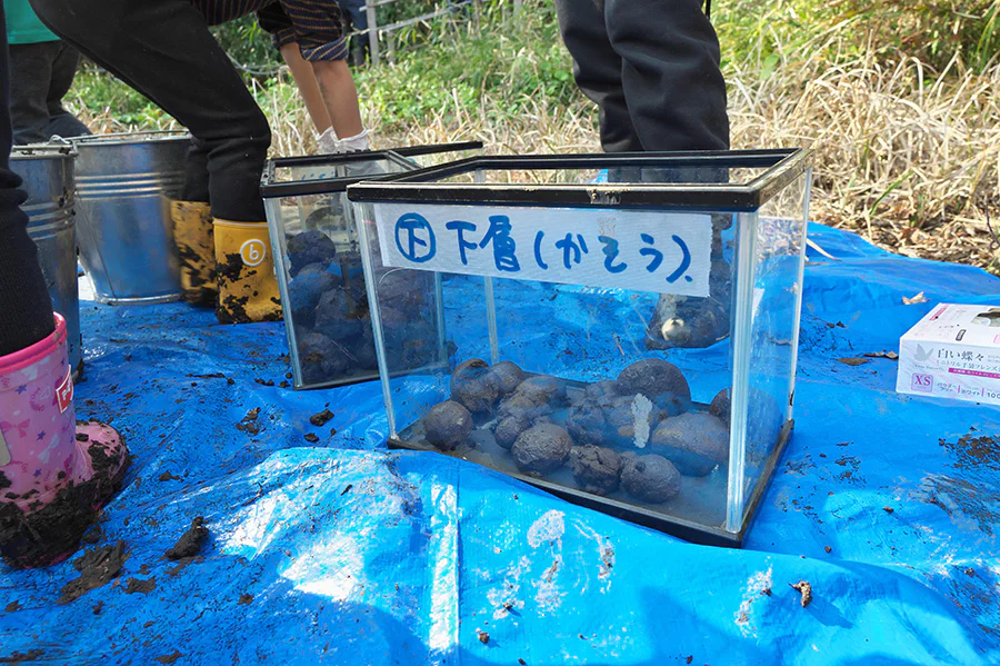 池沼PJ_泥団子