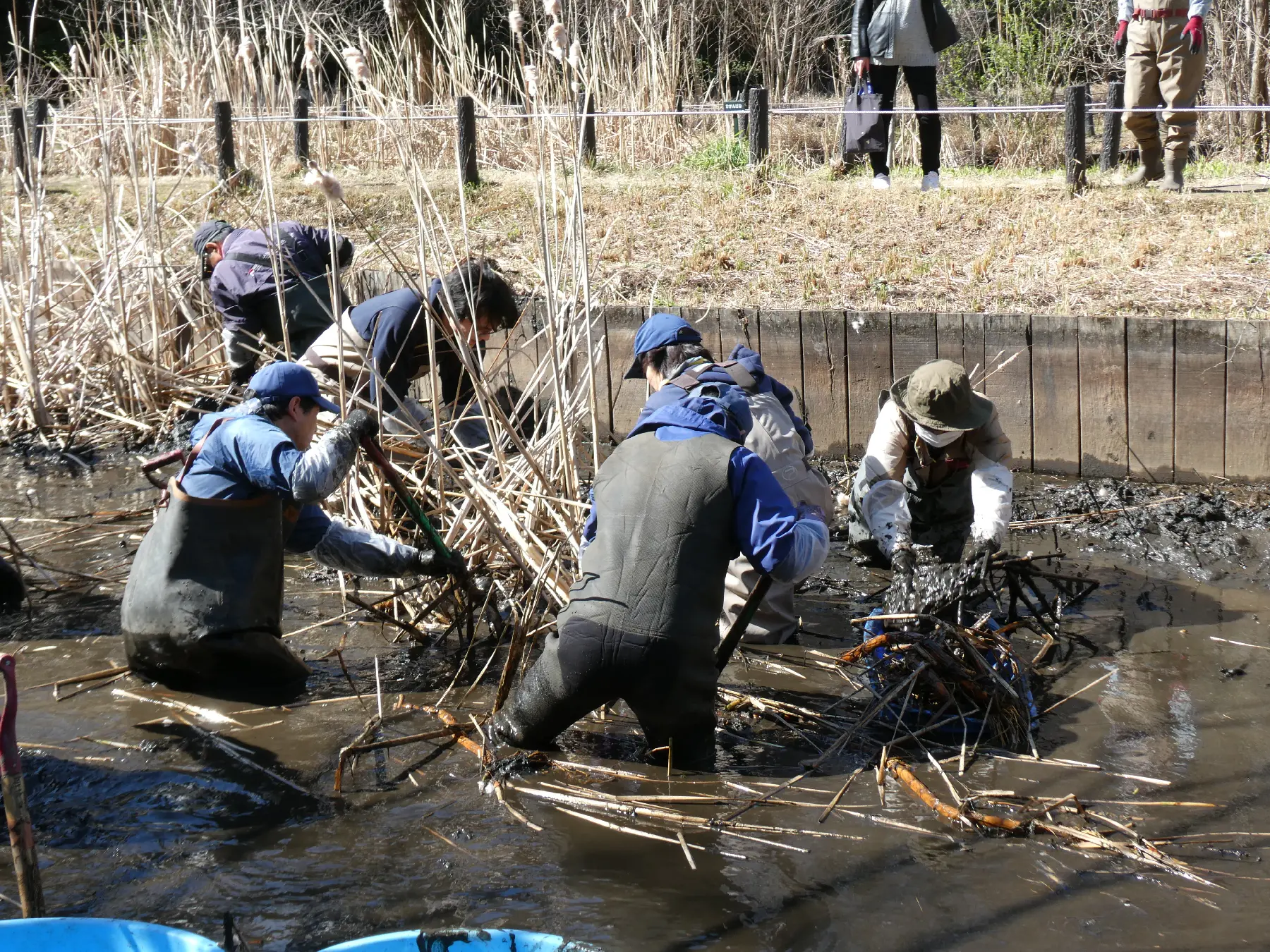 繁茂した草を除去します