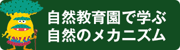 自然教育園で学ぶ自然のメカニズム