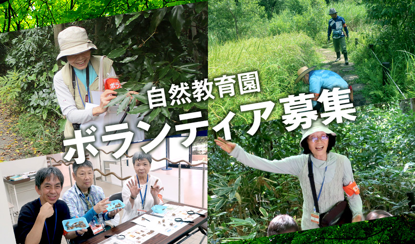 自然教育園 ボランティア募集