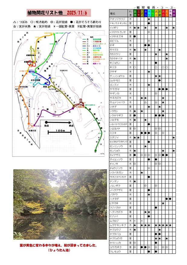 251106植物の開花リスト他