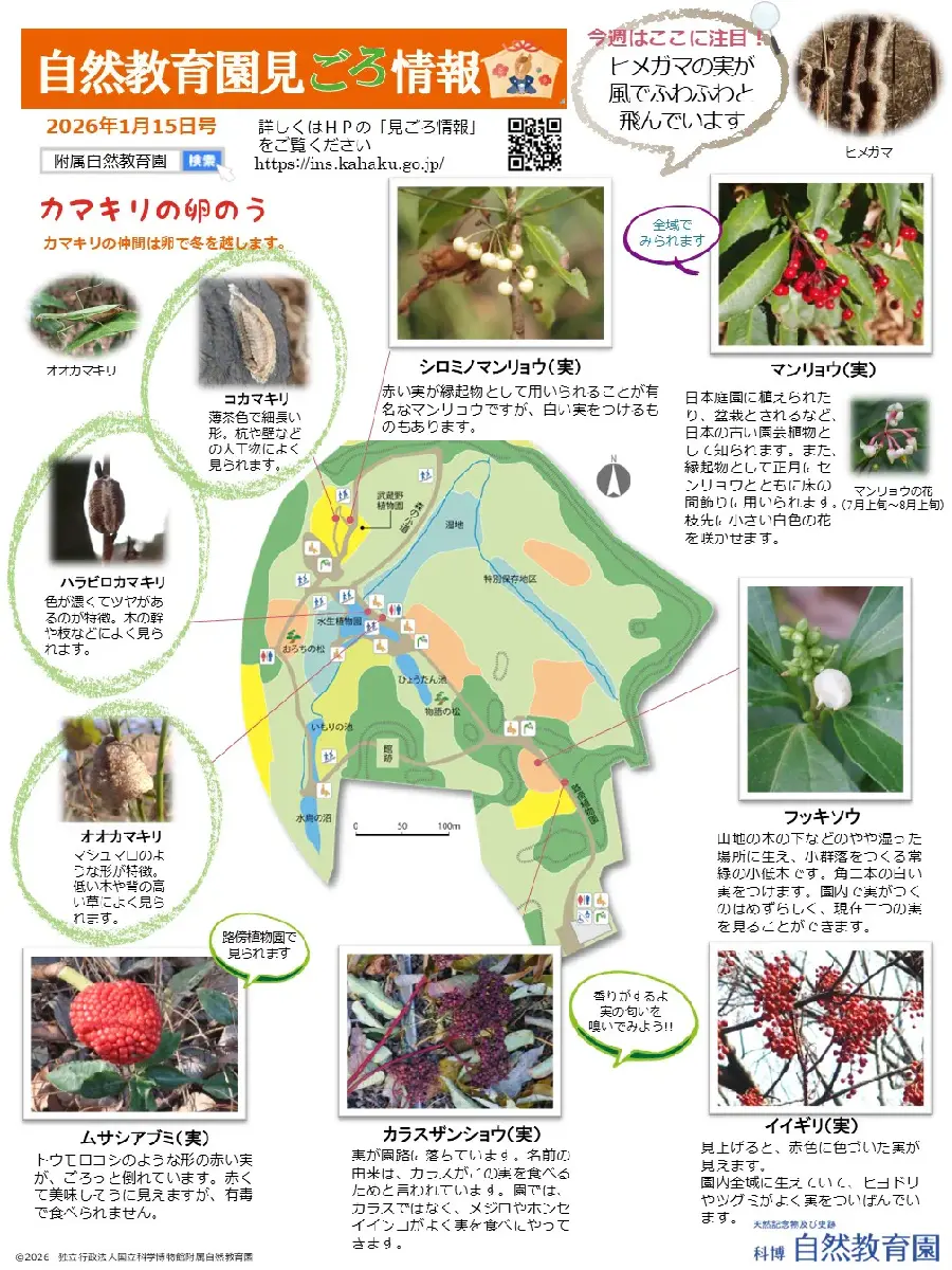 abm00018955sp.webp
