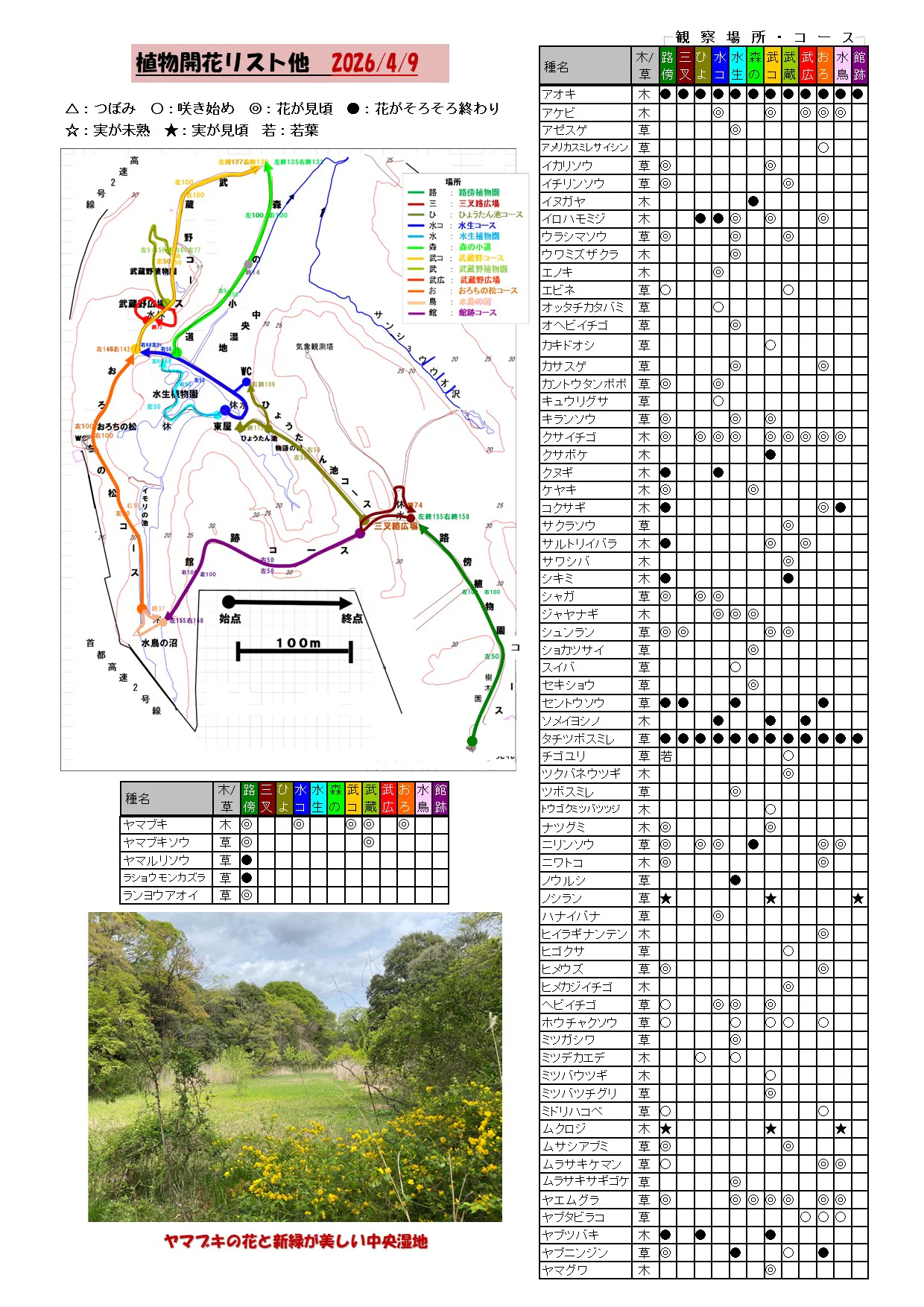 植物の開花リスト