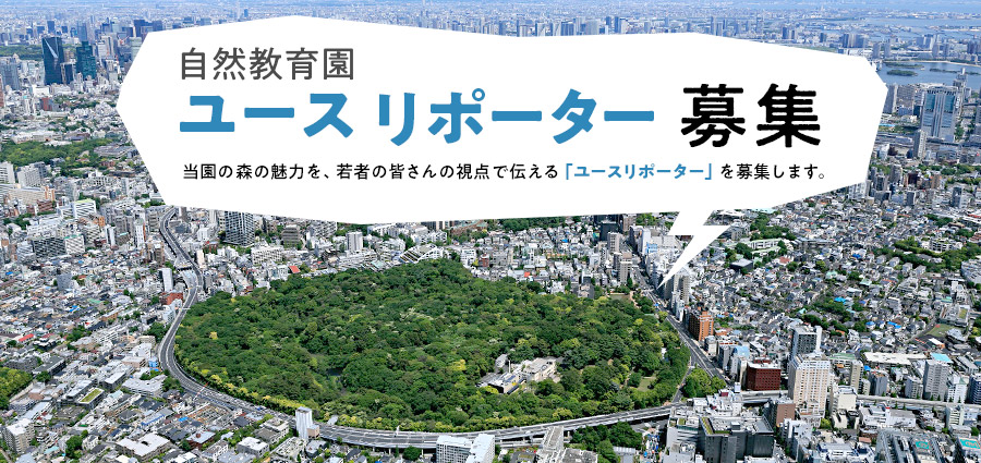 自然教育園 ユースリポーター募集。当園の森の魅力を、若者の皆さんの視点で伝える「ユースリポーター」を募集します。