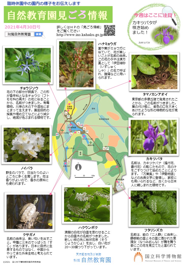 生物記録情報 附属自然教育園 Institute For Nature Study