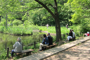 水生植物園　横ベンチ　イメージ